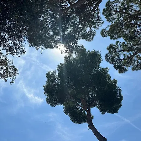 Appartamento Beachfront Rooftop Haven In Playa De Aro *