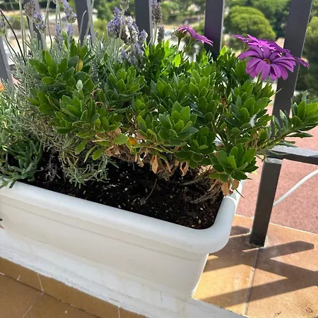 Beachfront Rooftop Haven In Playa De Aro Platja d'Aro