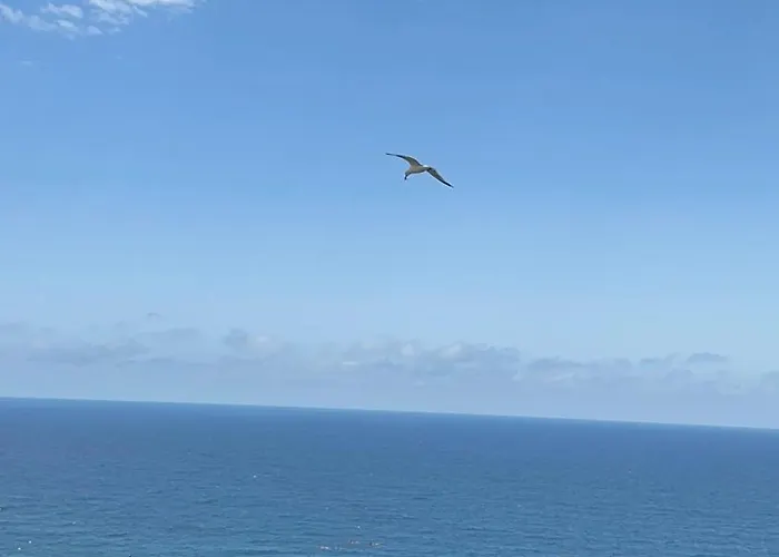 Beachfront Rooftop Haven studio in Playa de Aro