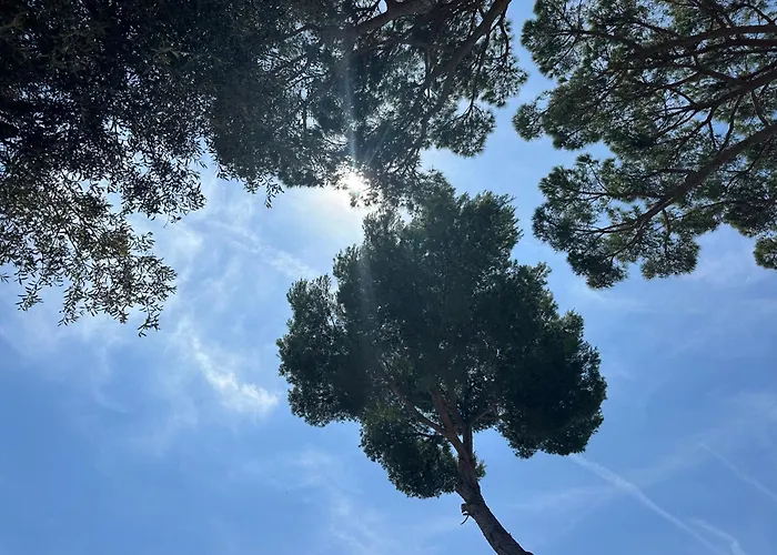 아파트 Beachfront Rooftop Haven In Playa De Aro *
